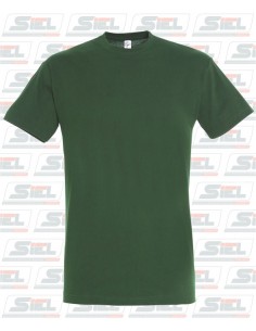CAMISETA MCORTA MOD. REGENT...